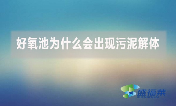 好氧池為什么會(huì)出現(xiàn)污泥解體？上清液細(xì)碎污泥多是怎么回事？
