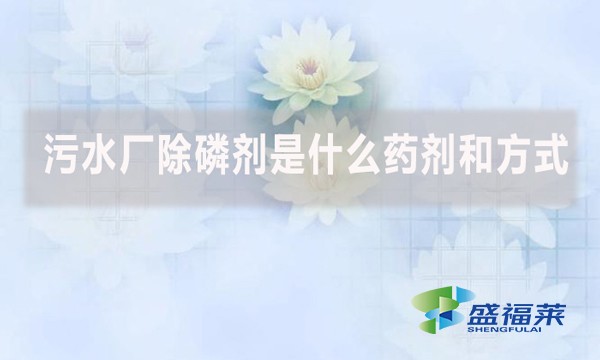 污水廠除磷劑是什么藥劑和方式？