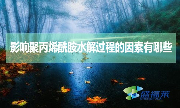 影響聚丙烯酰胺水解過程的因素有哪些？