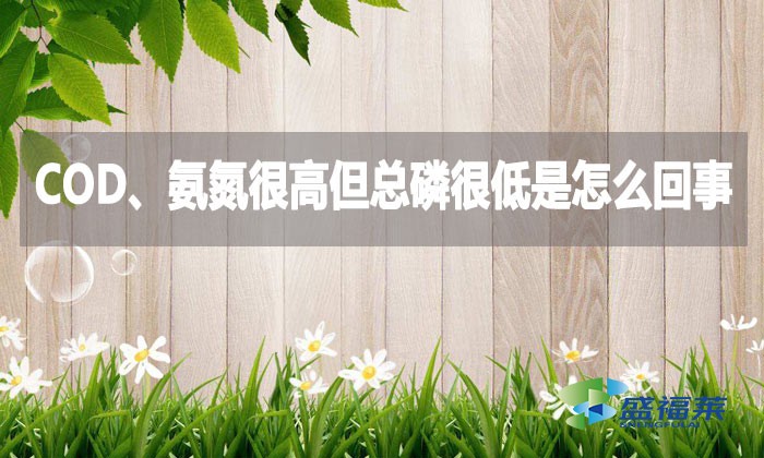 COD、氨氮很高但總磷很低是怎么回事