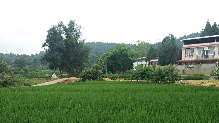 光銘防輻射工程帶你走入新農(nóng)村、走進(jìn)大自然